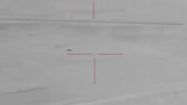 ночная охота на шакалов с Yukon nordForce xq30 +-200м смотреть онлайн