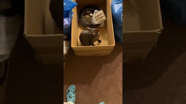 Белонос Семёнович 141 смотреть онлайн