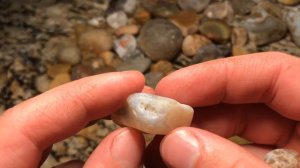 #rockhounding Polishing Agate and Jasper, Starting the Rock Tumbler,