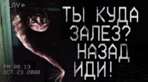 Страшные истории на ночь - ТЫ куда полез？Назад иди!