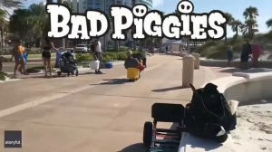 bad piggies in real life
