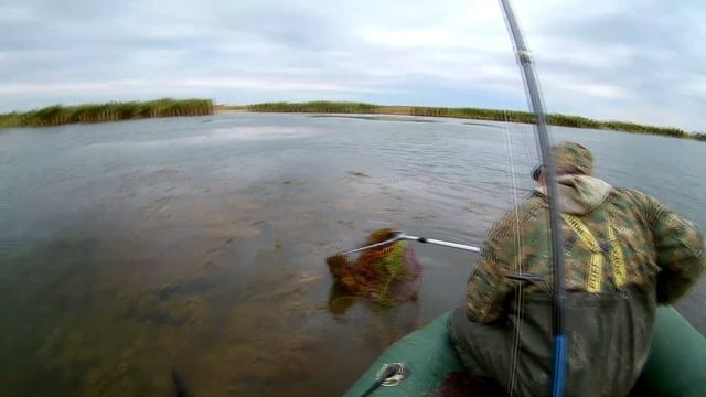 щука на поверхностные и подповерхностные воблеры смотреть онлайн