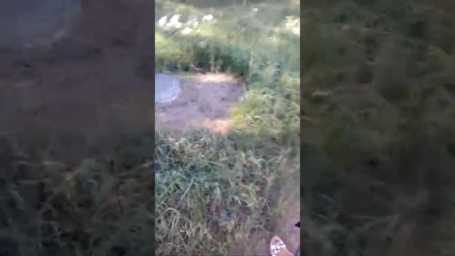 Нашли доску для вызова духов. смотреть онлайн