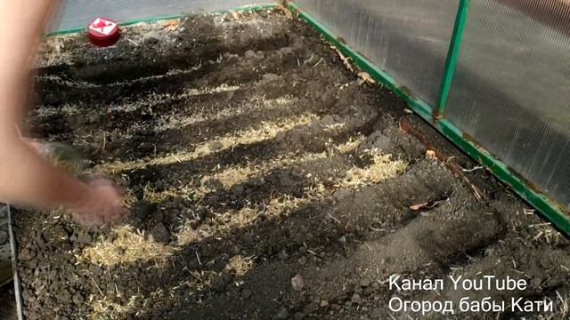 ЧТО ПОСАДИТЬ В АПРЕЛЕ? САЖАЕМ БАРХАТЦЫ И ЦИНИИ МНОГО И  СРАЗУ!
