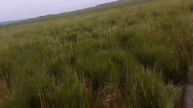 человек в забродниках против канавы с водой смотреть онлайн