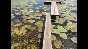 Озеро Бездонное, Калужская область.