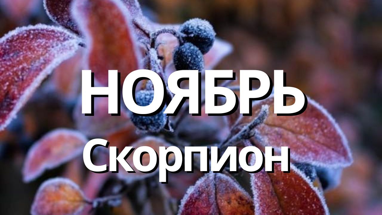 СКОРПИОН НОЯБРЬ 2023 [Таро прогноз]