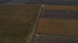 Сад миндаля с. Межводное. Посадка осень 2021 года.