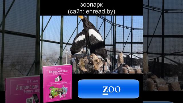 Задание Z1 / Ганчар Н.П. Английский язык. Учимся читать смотреть онлайн