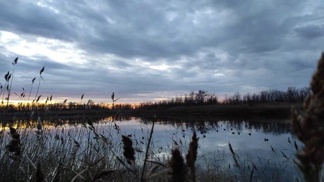 Взлёт лебедей смотреть онлайн