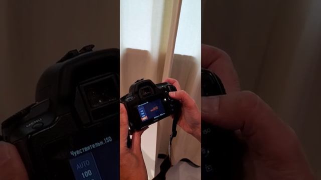 sony a 290 смотреть онлайн