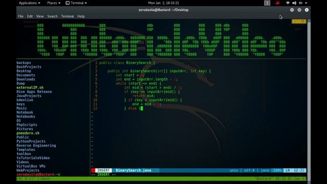 Implementare in java o forma al algoritmului de cautare Divide and Conquer смотреть онлайн
