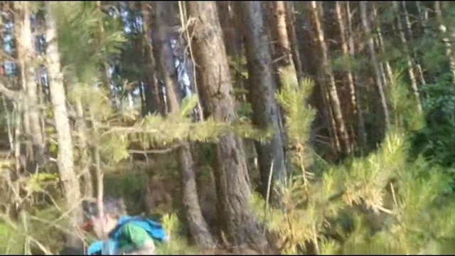 Обзор в Лесу с Буратино смотреть онлайн