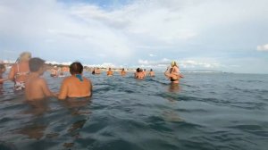 Дельфины в Витязево СОВСЕМ БЛИЗКО