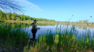 Береговая рыбалка на спиннинг лесном озере