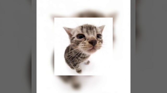 Песня надо много денег чтобы их потратить💖💖😋🍃OnOv It takes a lot of money to spend it🪴👐 смотреть онлайн