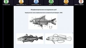 Секция 2. Структура, функционирование и динамика водных и наземных экосистем (часть 3)