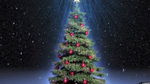 В лесу родилась елочка!