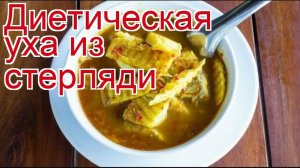 Рецепты из Стерляди - как приготовить Стерляди пошаговый рецепт - Диетическая уха из стерляди