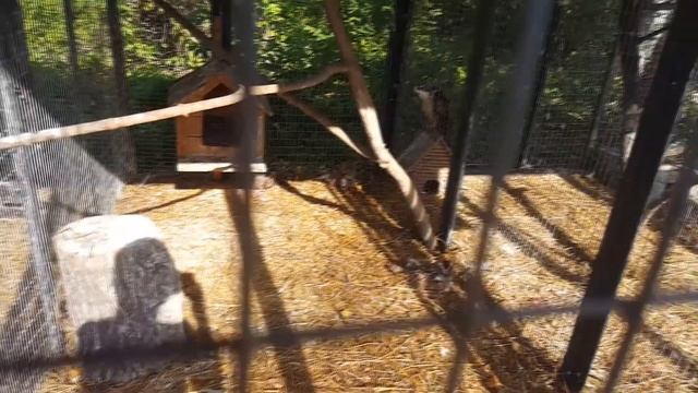 Заповедник "Кузнецкий Алатау" смотреть онлайн