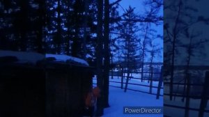 Обыкновенная летяга (Нэтээги)