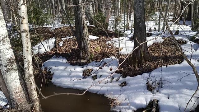 канава вокруг участка наполняется водой смотреть онлайн