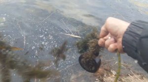 Поиск металла с мд и магнитом