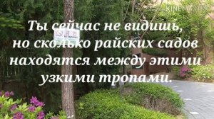 40 ИЗРЕЧЕНИЙ ШАМСА ТАБРИЗИ ❤ Часть 1