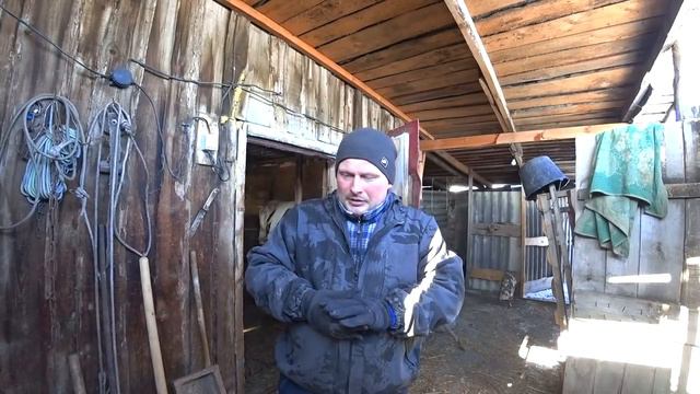 Лечим быка после вакцины от ящура. Купили 10 меш опилок. Не я ложил, зачем убирать. Жизнь в деревне смотреть онлайн