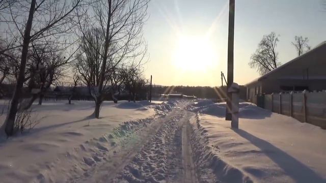 VLOG: покупки, страшный зверь, вдоль деревни...