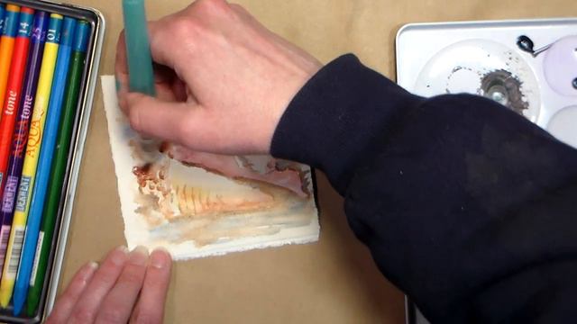 Watercolor Seashell {conch shell} Painting Tutorial-Easy! смотреть онлайн