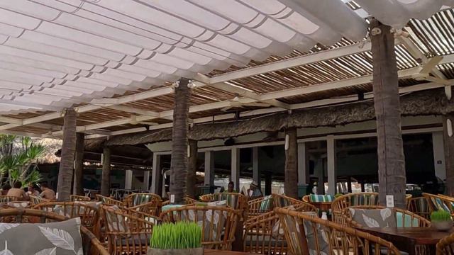 4K Нячанг сегодня, 2023. Цены на фрукты и лежаки. Прогулка к морю. Nha Trang