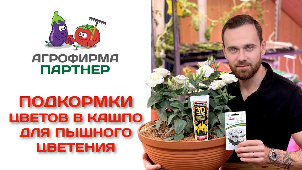 Подкормки цветов в кашпо для пышного цветения