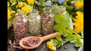 Магия базилика