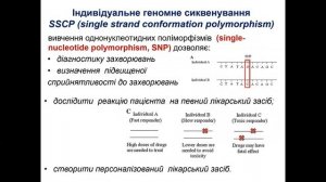 Функціональна біохімія 3 курс Лекція. Вступ в функціональну біохімію Укр