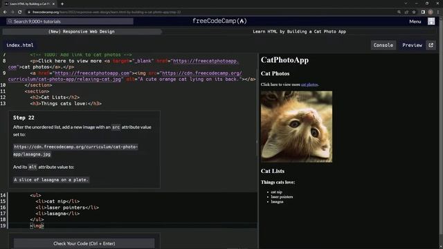 Learn HTML by Building a Cat Photo App - Step 22