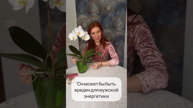 Немного про энергетику орхидей 🌺