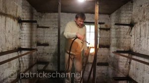 Как избавится от куриных красных клещей, блох и вшей в курятнике. Результат гарантирован.
