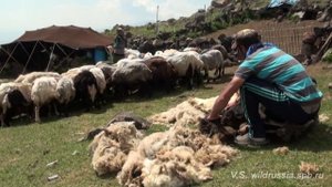Курды, восхождение на Арарат. Kurdish people, Mt Ararat climb