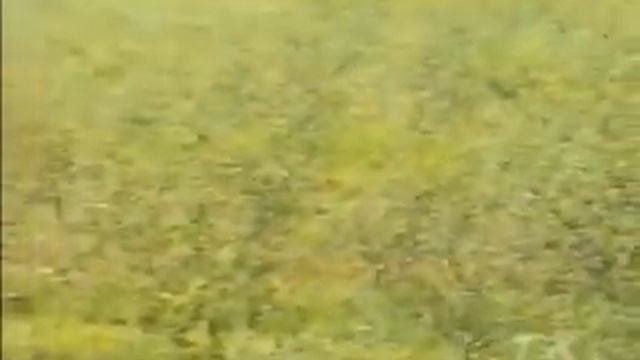 Средства защиты растений