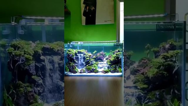 Waterfall Aquarium🐬