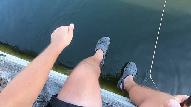 Плотва на тесто / Рыбачу после работы / Плотва / 2021 / Roach for dough / Fishing after work / Roac смотреть онлайн