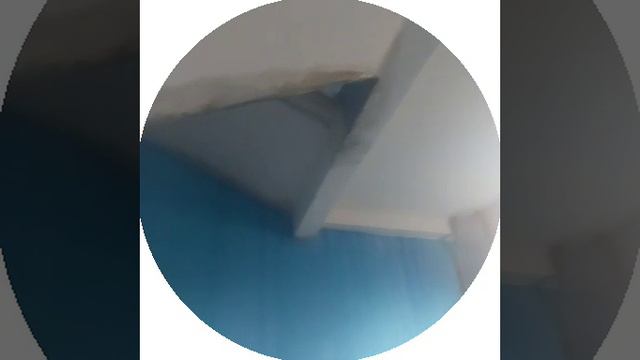 После дождя в подъезде вода, Тула