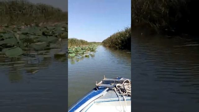 предраскатная часть Астраханской области. смотреть онлайн