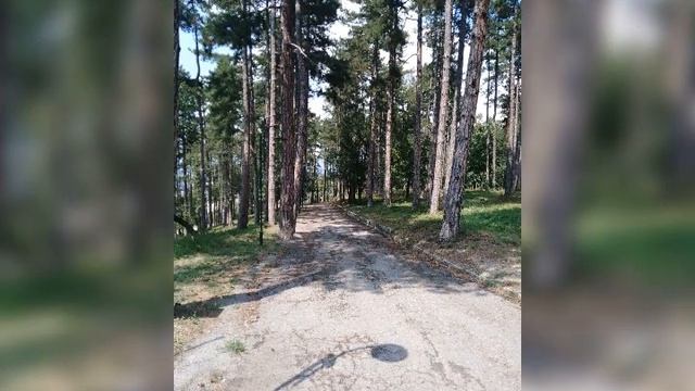 Prague - Kyustendil, Chehia - Bulgaria. смотреть онлайн