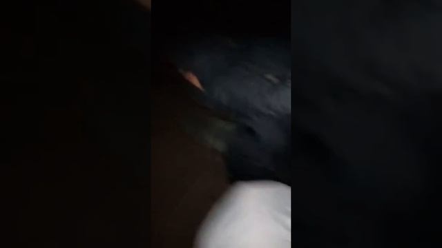 Прыжок с горы «Пихва» смотреть онлайн