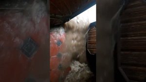 Юнусобод районига ёгкан дул ёмгирлар окибатида уйимизни сув босиб кетди