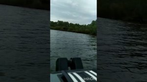 обкатка мотора seaPro5 Лодка Шкипер320 жесткая слань