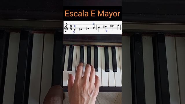 Escala E Mayor 😉 -DIGITACION PIANO- 🎹👌#piano #teoriamusical смотреть онлайн