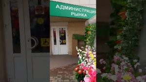 г Лиски Аптека Ромашка